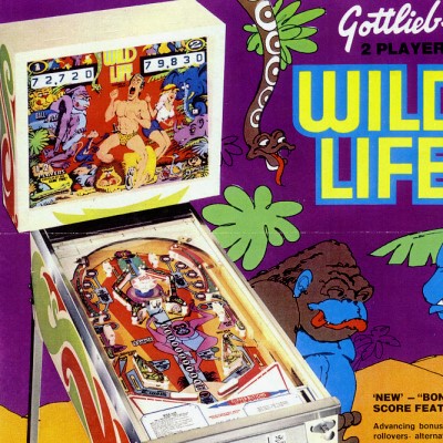 gottlieb, wild life, pinball, sales, price, date, city, condition, auction, ebay, private sale, retail sale, pinball machine, pinball price