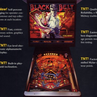 bally, black belt, pinball, sales, price, date, city, condition, auction, ebay, private sale, retail sale, pinball machine, pinball price