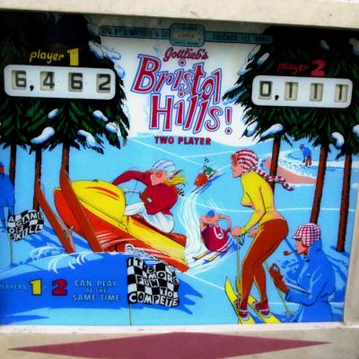 gottlieb, bristol hills, pinball, sales, price, date, city, condition, auction, ebay, private sale, retail sale, pinball machine, pinball price