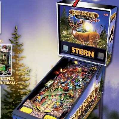 stern, big buck hunter pro, pinball, sales, price, date, city, condition, auction, ebay, private sale, retail sale, pinball machine, pinball price