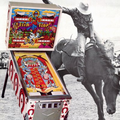 bally, flip flop, pinball, sales, price, date, city, condition, auction, ebay, private sale, retail sale, pinball machine, pinball price